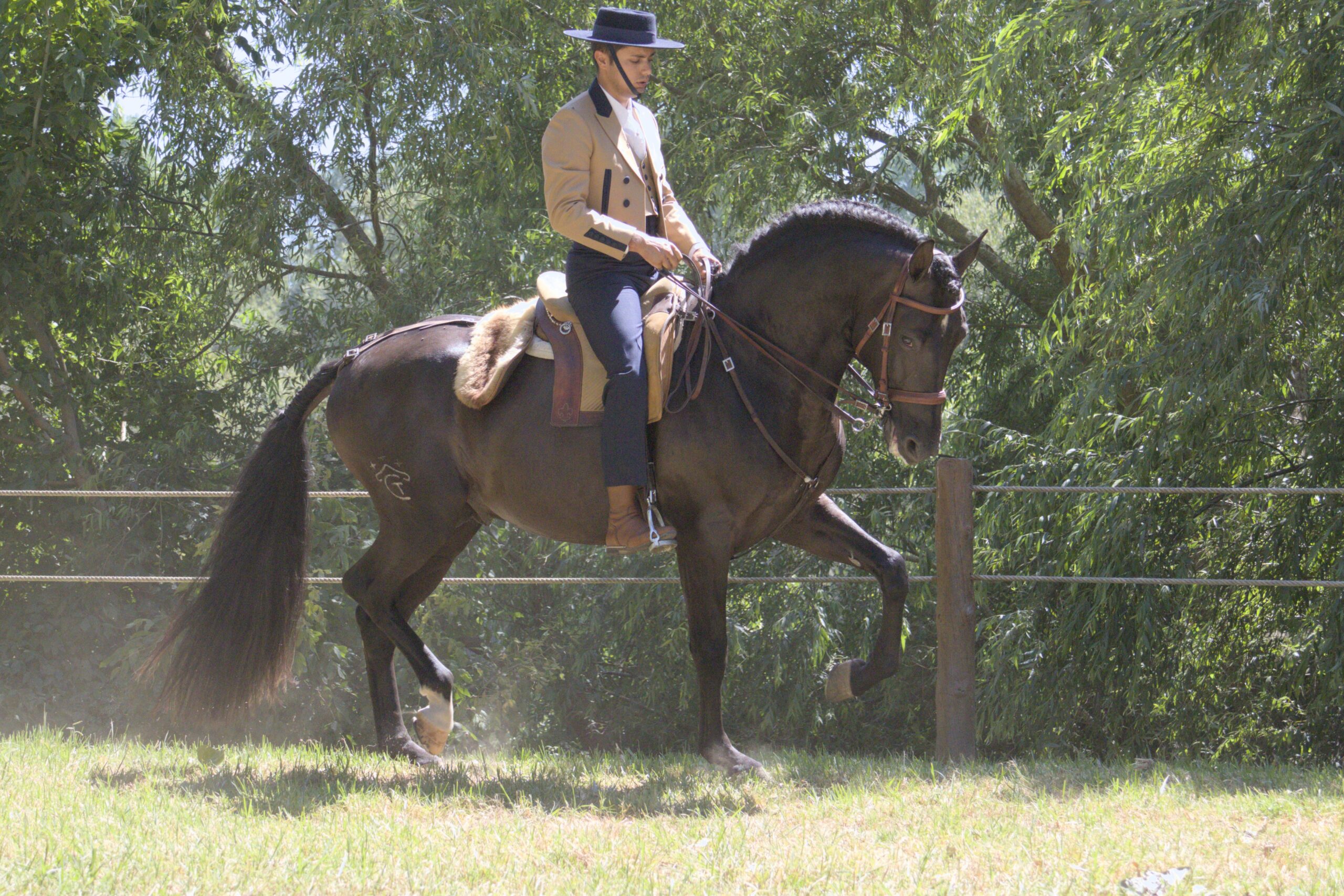 Quinto